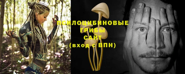 шишки Абдулино