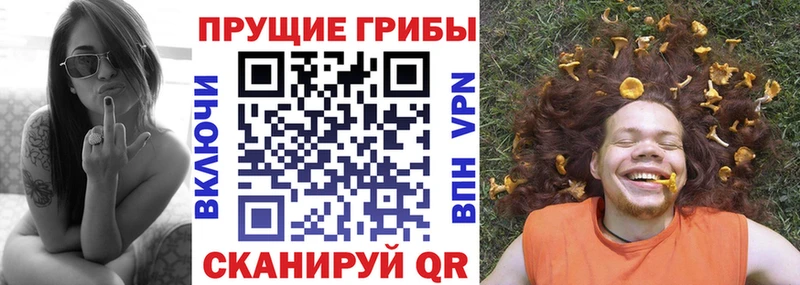 мега зеркало  Нижние Серги  Псилоцибиновые грибы мухоморы 