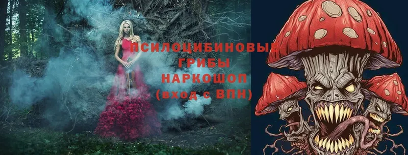 shop клад  Нижние Серги  Псилоцибиновые грибы прущие грибы 